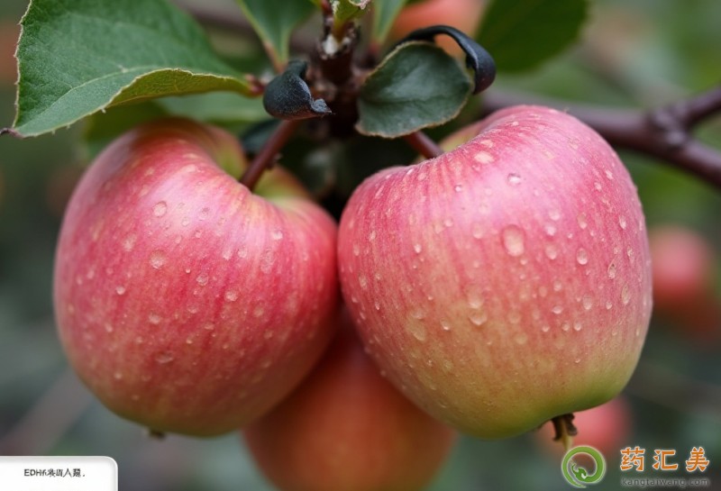 失眠吃蘋果好 失眠吃蘋果好