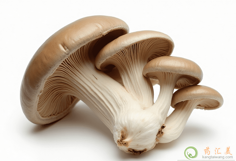 失眠可以吃蘑菇 失眠可以吃蘑菇