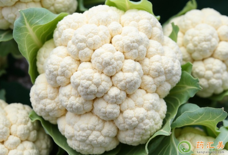 失眠可以吃白花椰菜嗎 失眠可以吃白花椰菜嗎