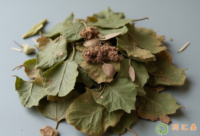 淫羊藿補腎壯陽效果好 淫羊藿補腎壯陽效果好