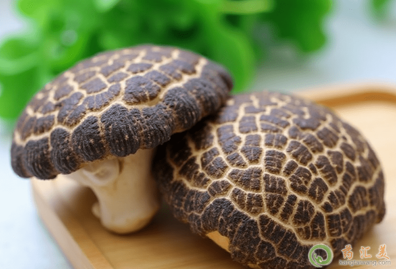 失眠可以吃花菇 失眠可以吃花菇