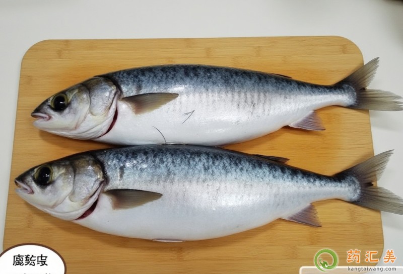 鲅魚的功效與作用 鲅魚的功效與作用