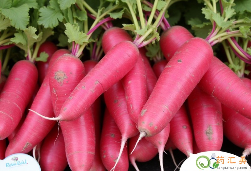 胰腺炎能吃水蘿卜嗎 胰腺炎能吃水蘿卜嗎