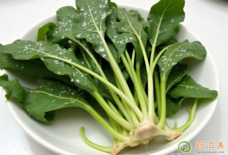 胰腺炎能吃薺菜嗎 胰腺炎能吃薺菜嗎