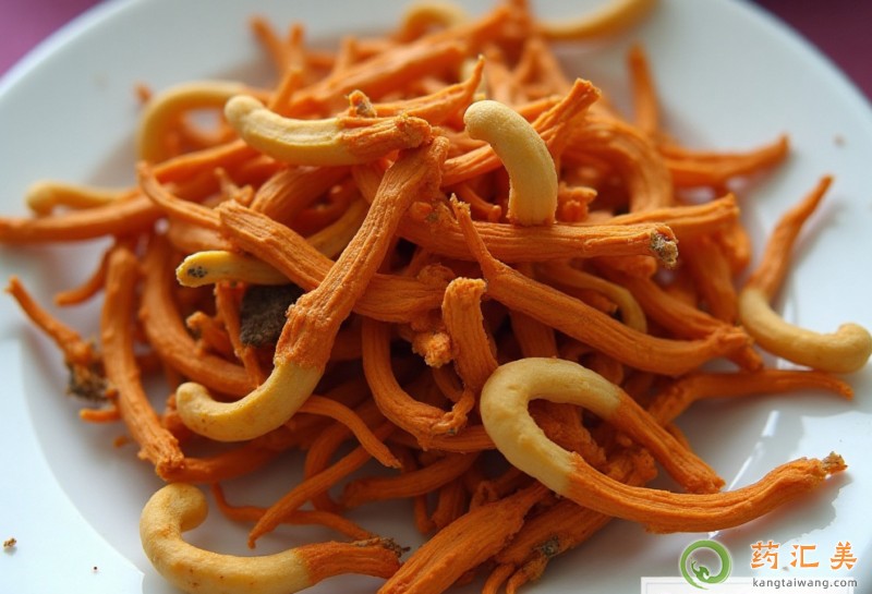 北蟲草的食用方法介紹 北蟲草的食用方法介紹