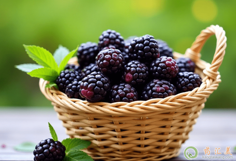 桑葚的功效與作用 桑葚的功效與作用