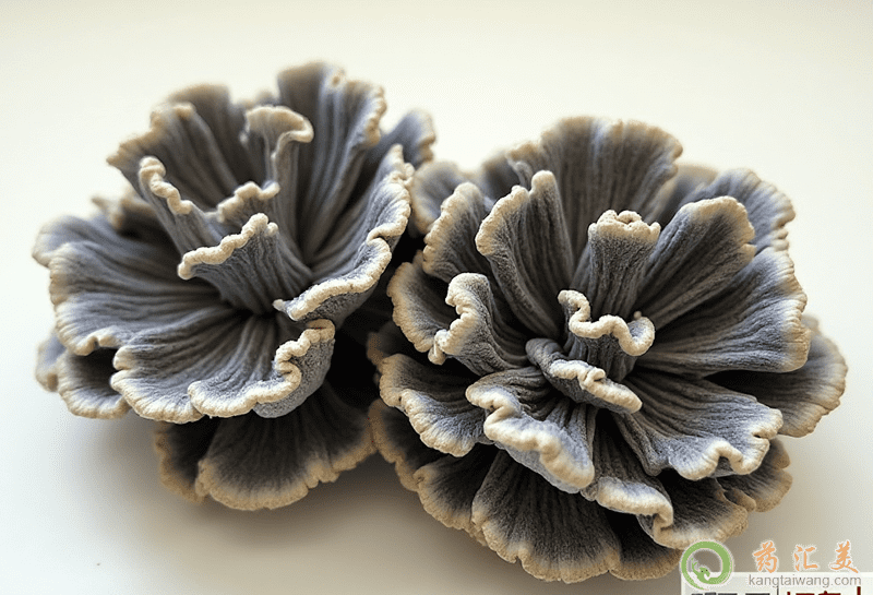 干巴菌的營養(yǎng)價(jià)值 干巴菌的營養(yǎng)價(jià)值