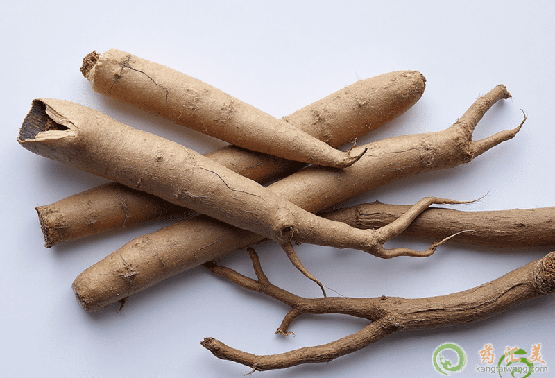 地骨皮的功效 地骨皮的功效