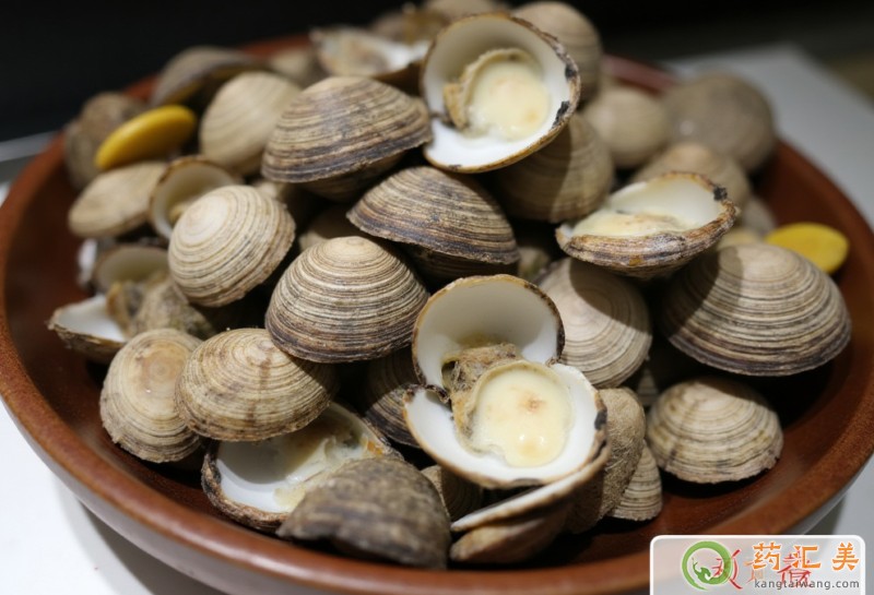 胰腺炎能吃毛蛤蜊嗎 胰腺炎能吃毛蛤蜊嗎